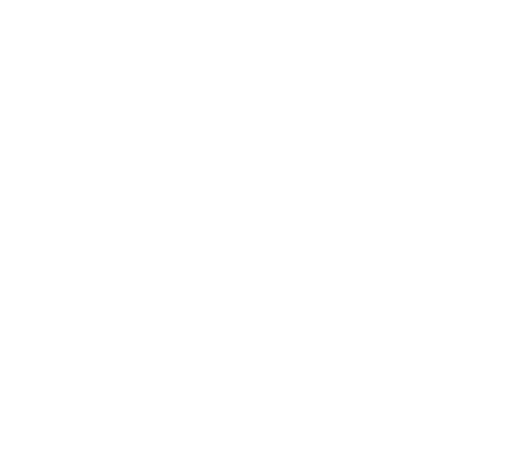 Holmans USA icon white